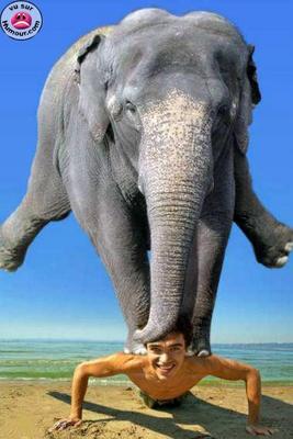 ayehaye