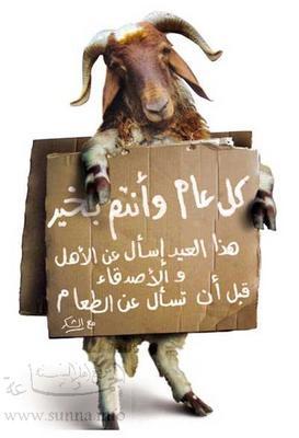 kolo 3ame